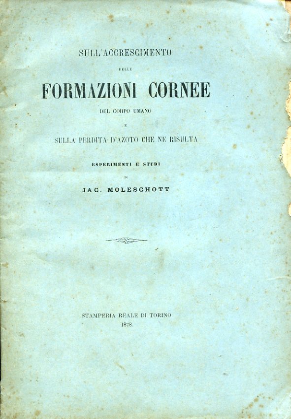 Sull'accrescimento delle formazioni cornee del corpo umano e sulla perdita …
