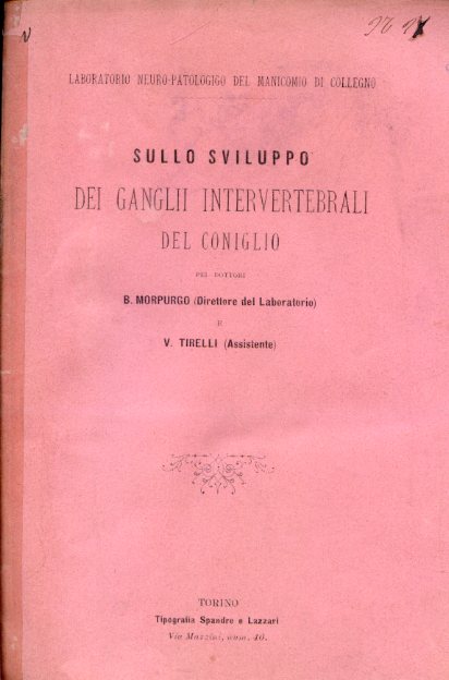 Sullo sviluppo dei ganglii invertebrali del coniglio