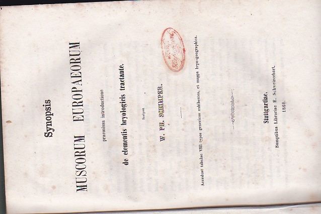 Synopsis Muscorum Europaeorum praemissa introductione de elementis bryologicis tractante. Accedunt …
