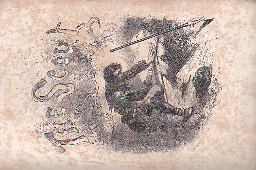 The Scout or the Black Riders of Congaree. New and …