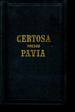 Visita alla Certosa di Pavia