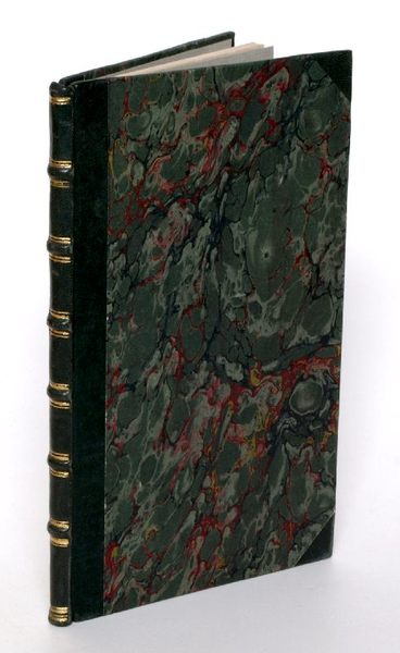 Die Katastrophe in Ungarn. Originalbericht.