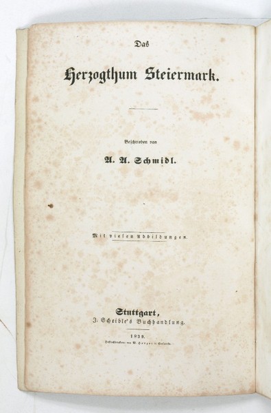 Das Herzogthum Steiermark.