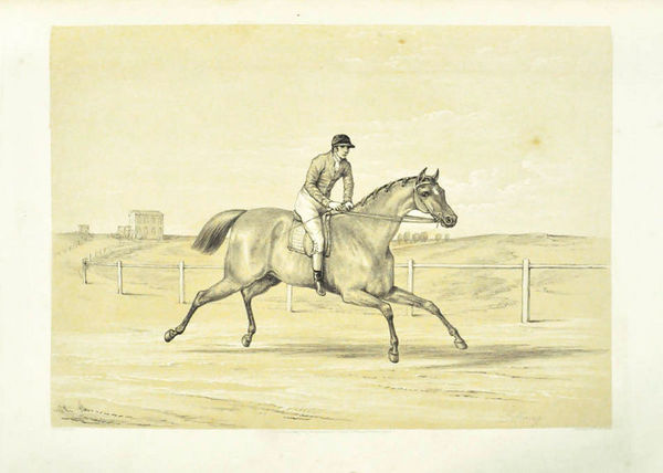 Six sketches in lithography representing the common actions of the …