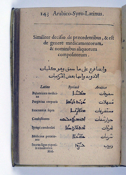 Thesaurus Arabico-Syro-Latinus.