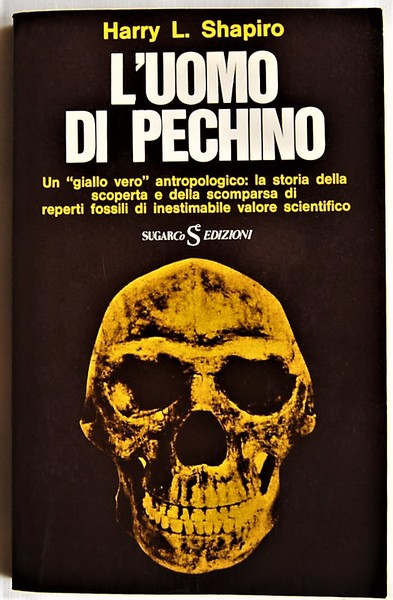 L'UOMO DI PECHINO.