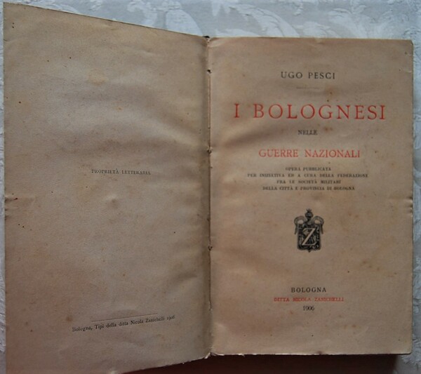 I BOLOGNESI NELLE GUERRE NAZIONALI.