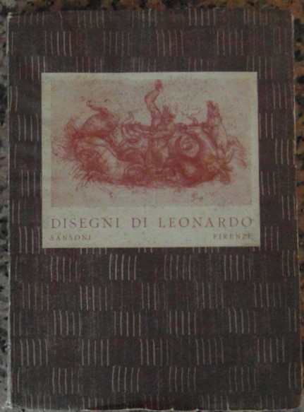 DISEGNI DI LEONARDO.