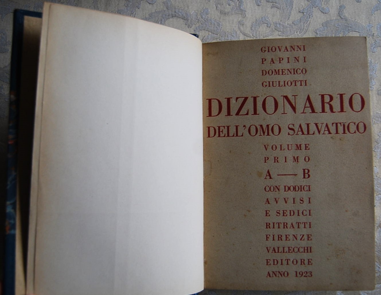 DIZIONARIO DELL'OMO SALVATICO.