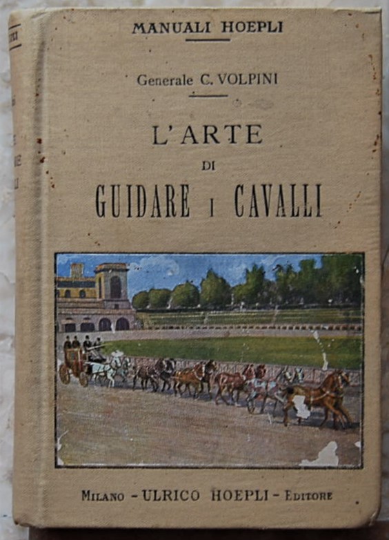 L'ARTE DI GUIDARE I CAVALLI.