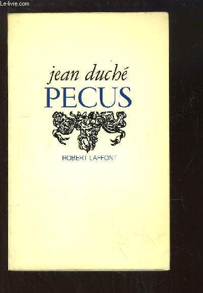 Piccolo Raffaello. Favola (Il)