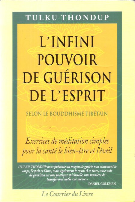 L'Infini Pouvoir de Guérison de L'Esprit selon le Bouddhisme Tibétain …