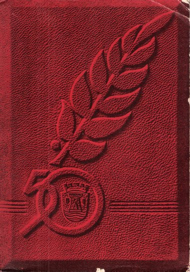 Livre Du Cinquantenaire de La Ville d'Esch sur-Alzette ( Grand-Duché …