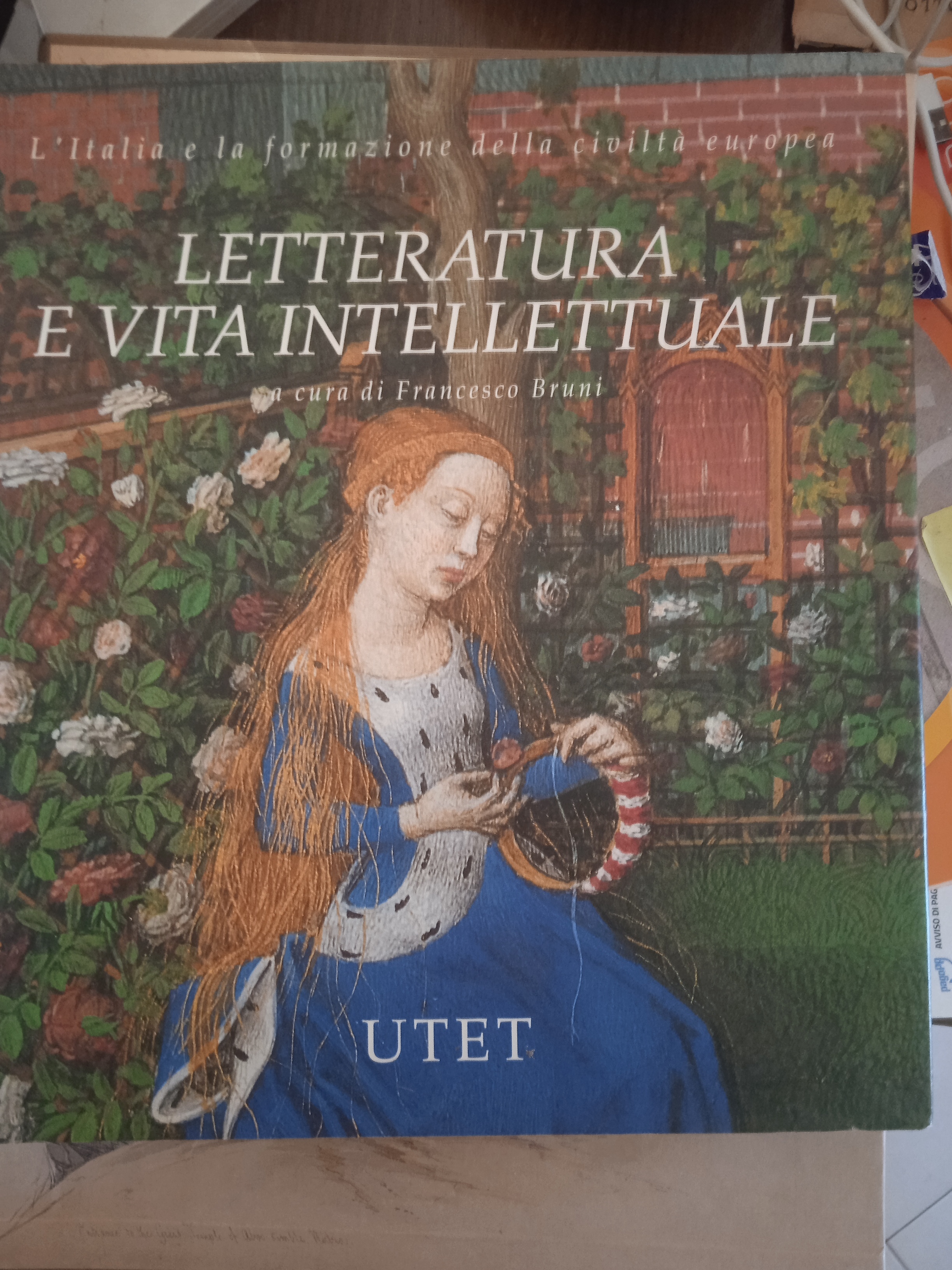 letteratura e vita intellettuale l'italia e la formazione della civilta …