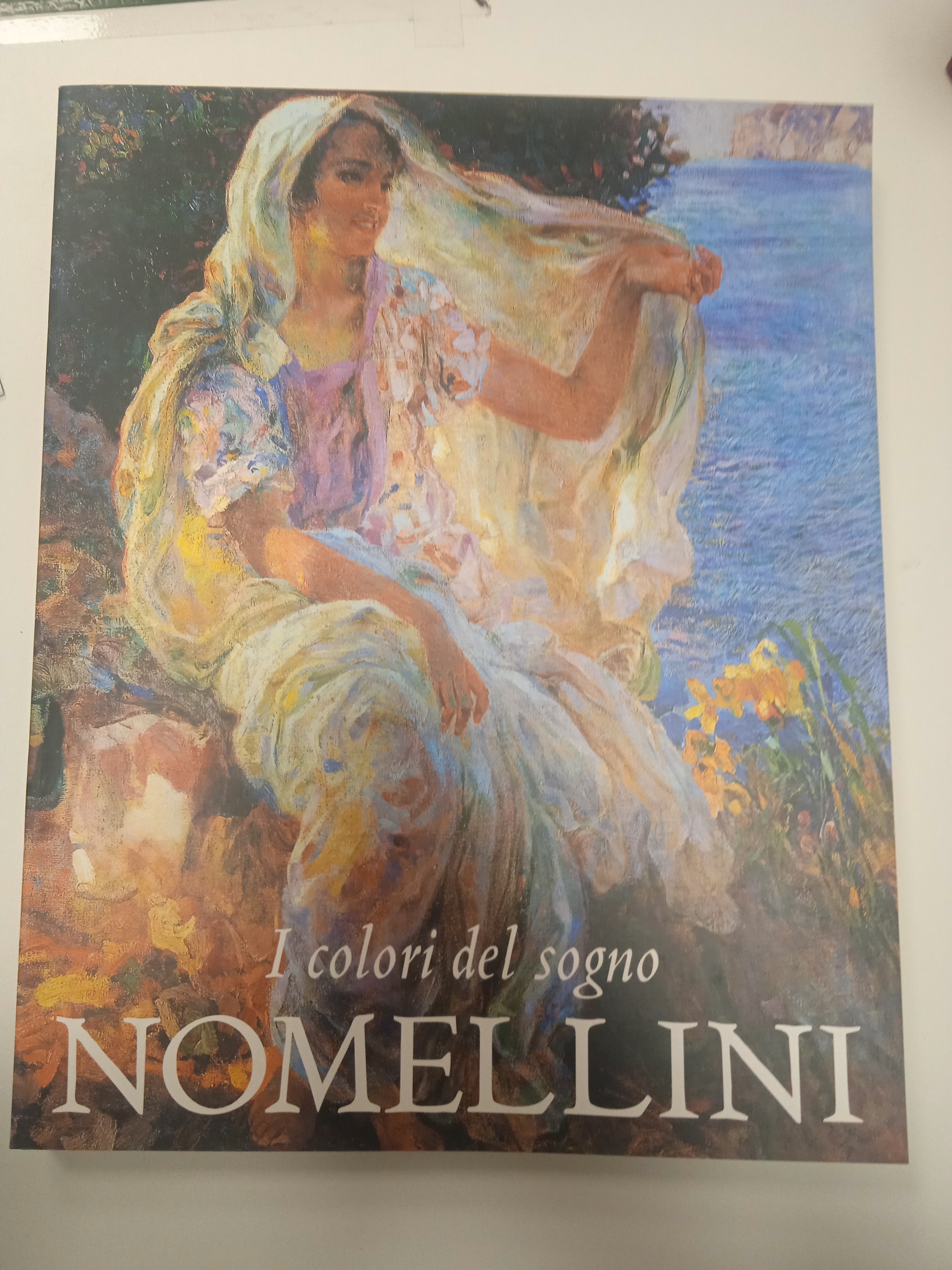 nomellini i colori del sogno