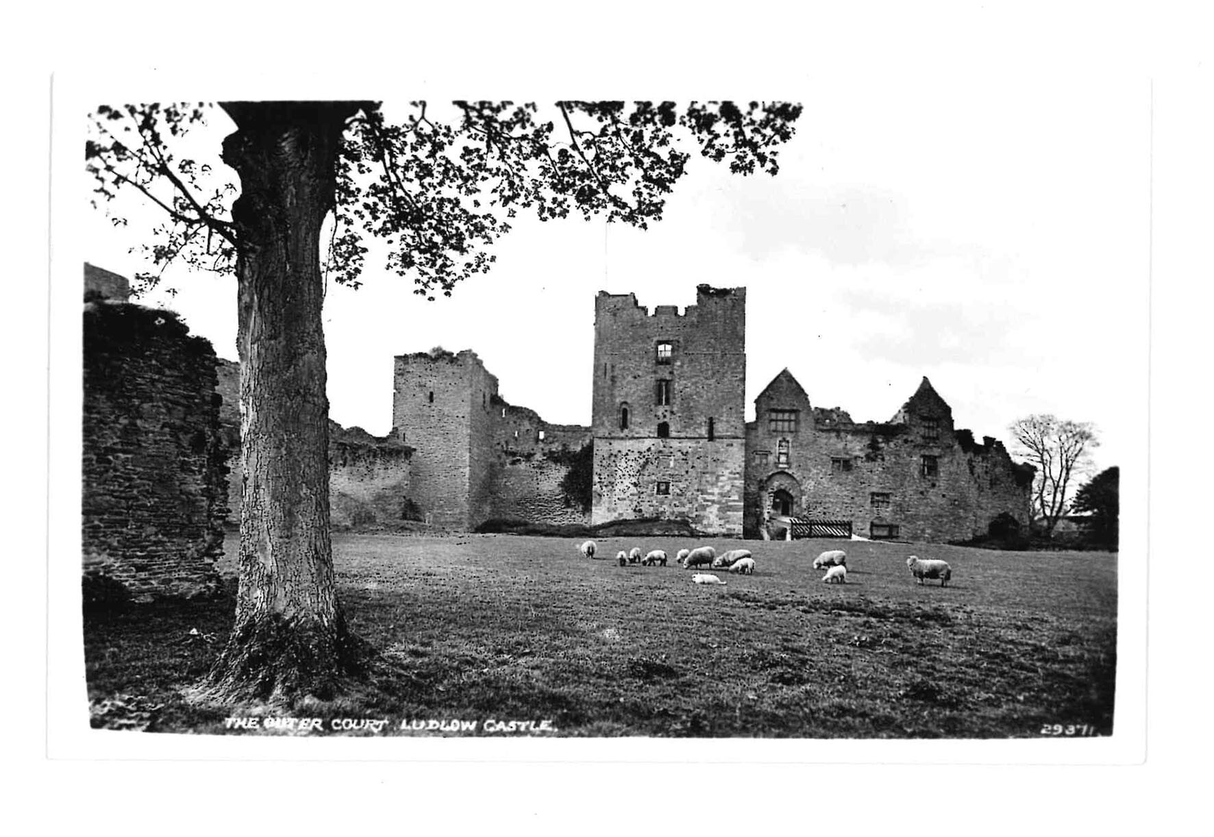 7 cartoline con fotografie reali di Ludlow Castle e della …