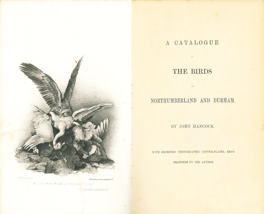 A Catalogue of the Birds of Northumberland and Durham. Natural …