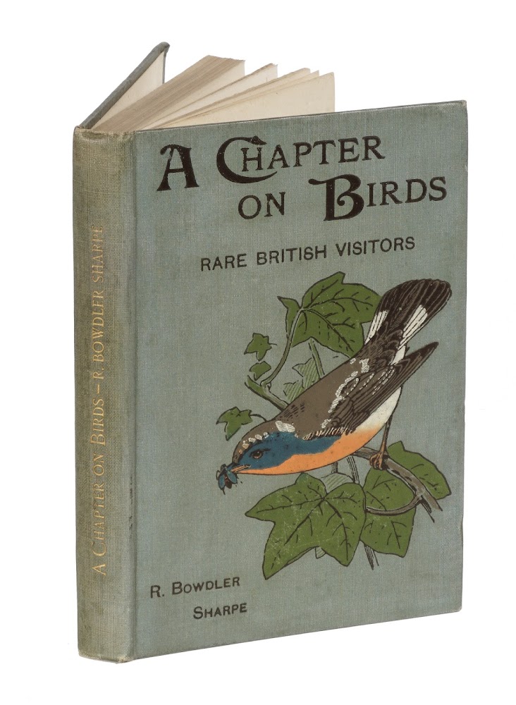 A Chapter on Birds. Rare British Visitors. With eighteen coloured …