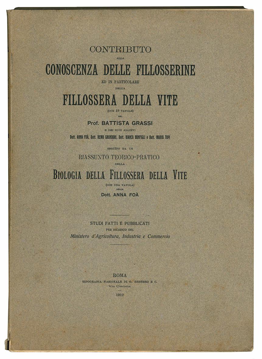 Contributo alla conoscenza delle fillosserine ed in particolare della fillossera …