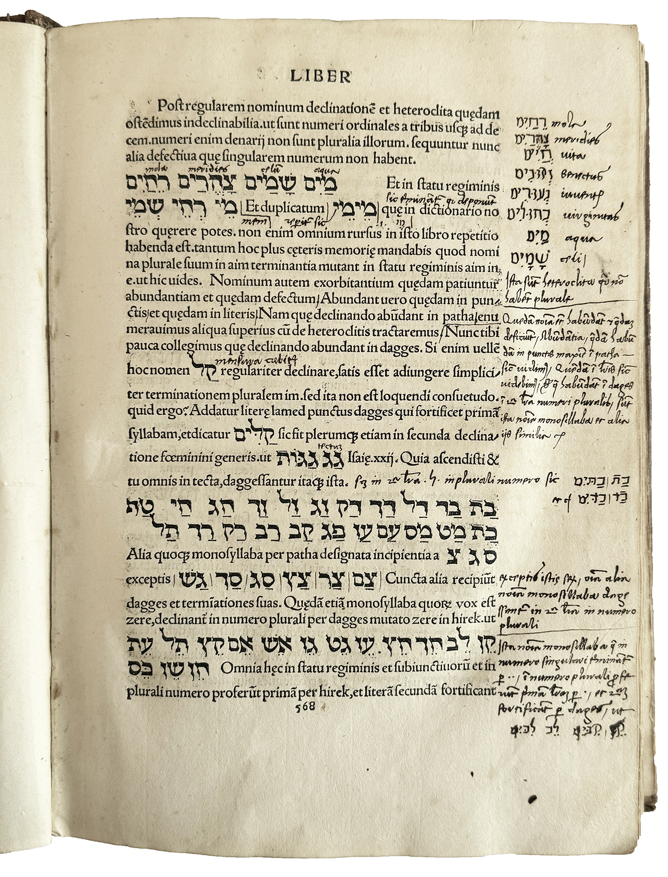 [...] De rudimentis hebraicis. Colophon: Phorce in aedib. Tho. Anshelmi …