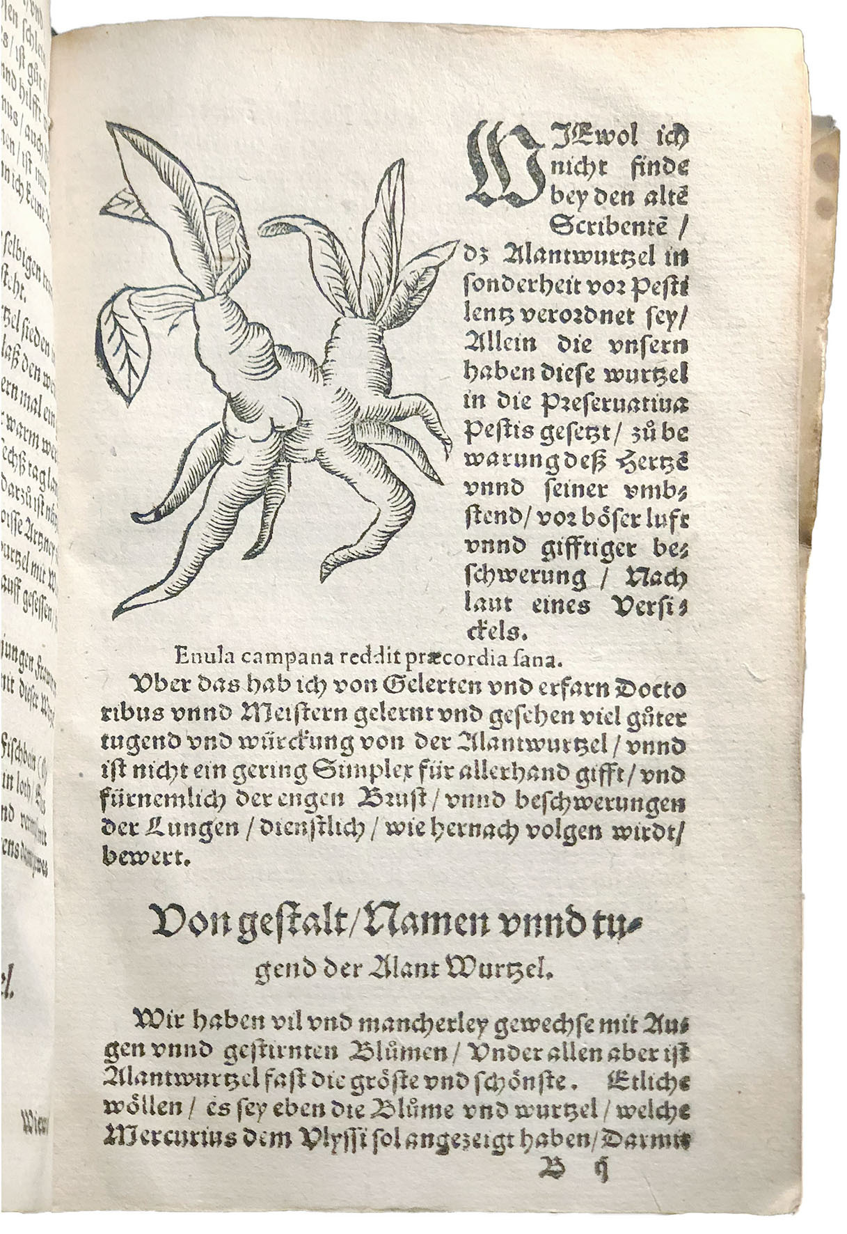 De vera curandae pestis ratione, liber unus [...]