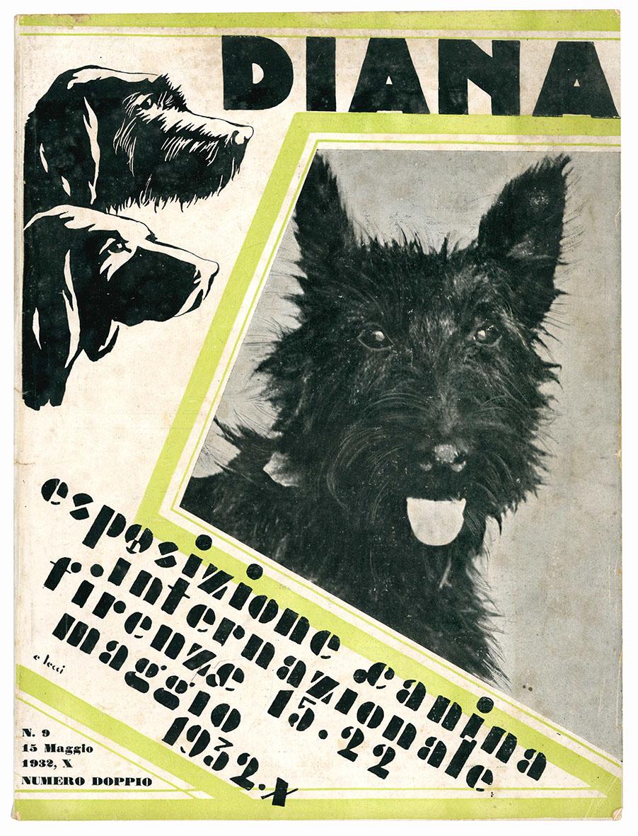 Diana. Esposizione canina internazionale. Firenze 15-22 maggio 1932-X. Numero doppio.