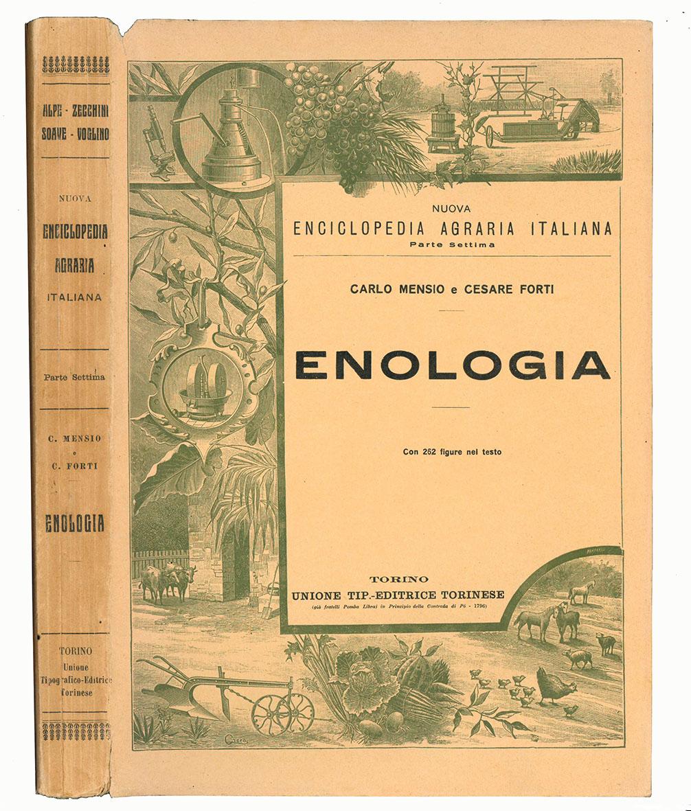 Enologia: la fermentazione alcolica, la chimica e la tecnica dell'enologia