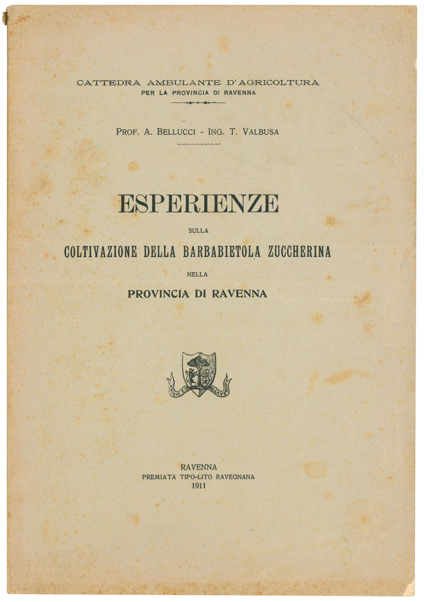 Esperienze sulla coltivazione della barbabietola zuccherina nella provincia di Ravenna.