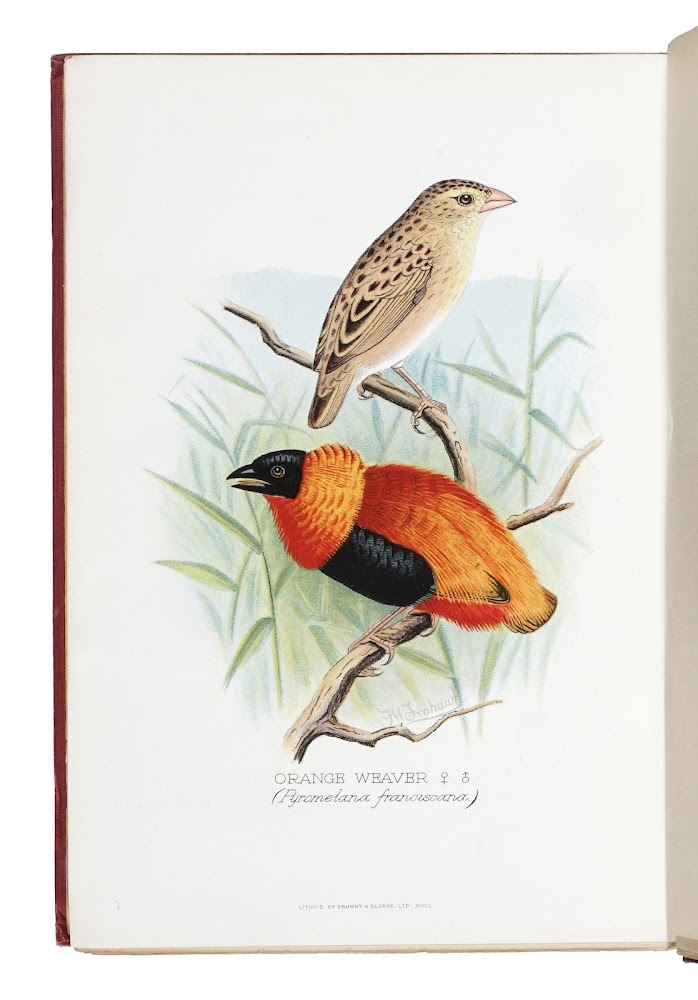 Foreign finches in captivity. Second edition. Illustrated by F. W. …