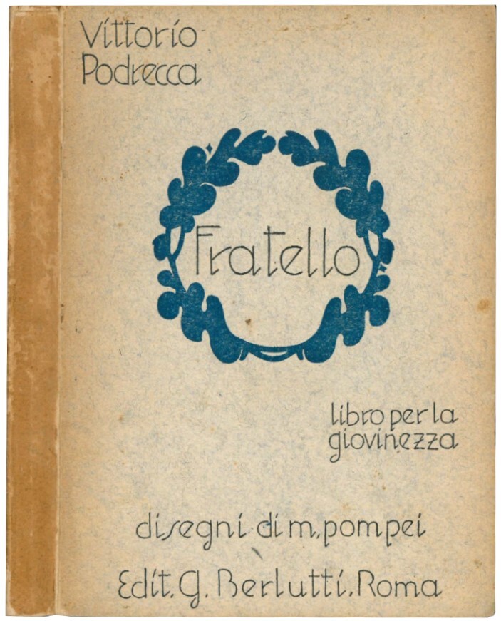 Fratello. Libro per la giovinezza.