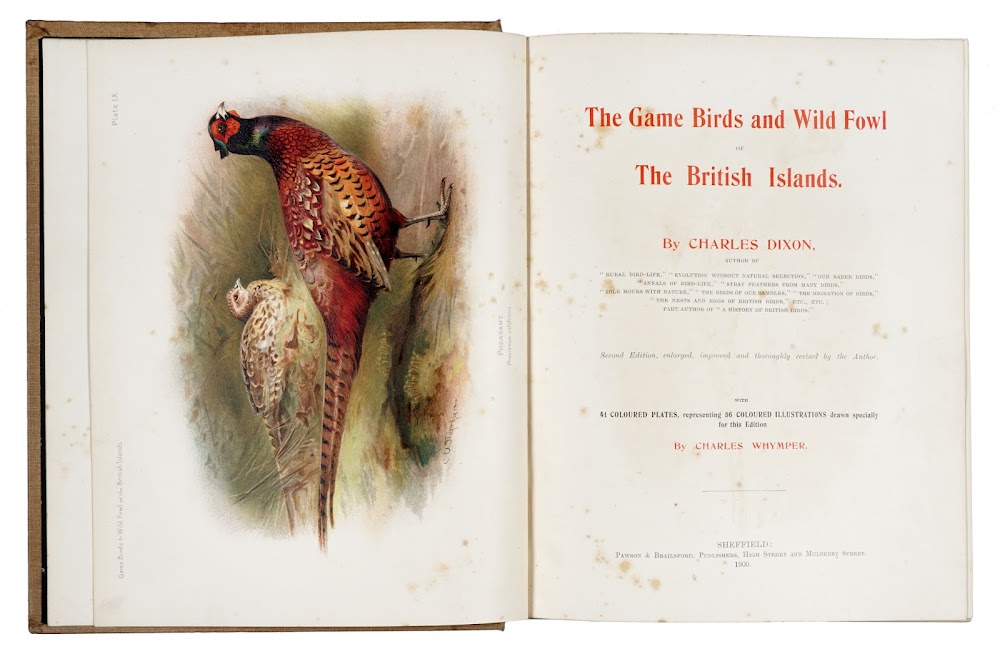 Game Birds and Wild Fowl of the British Islands