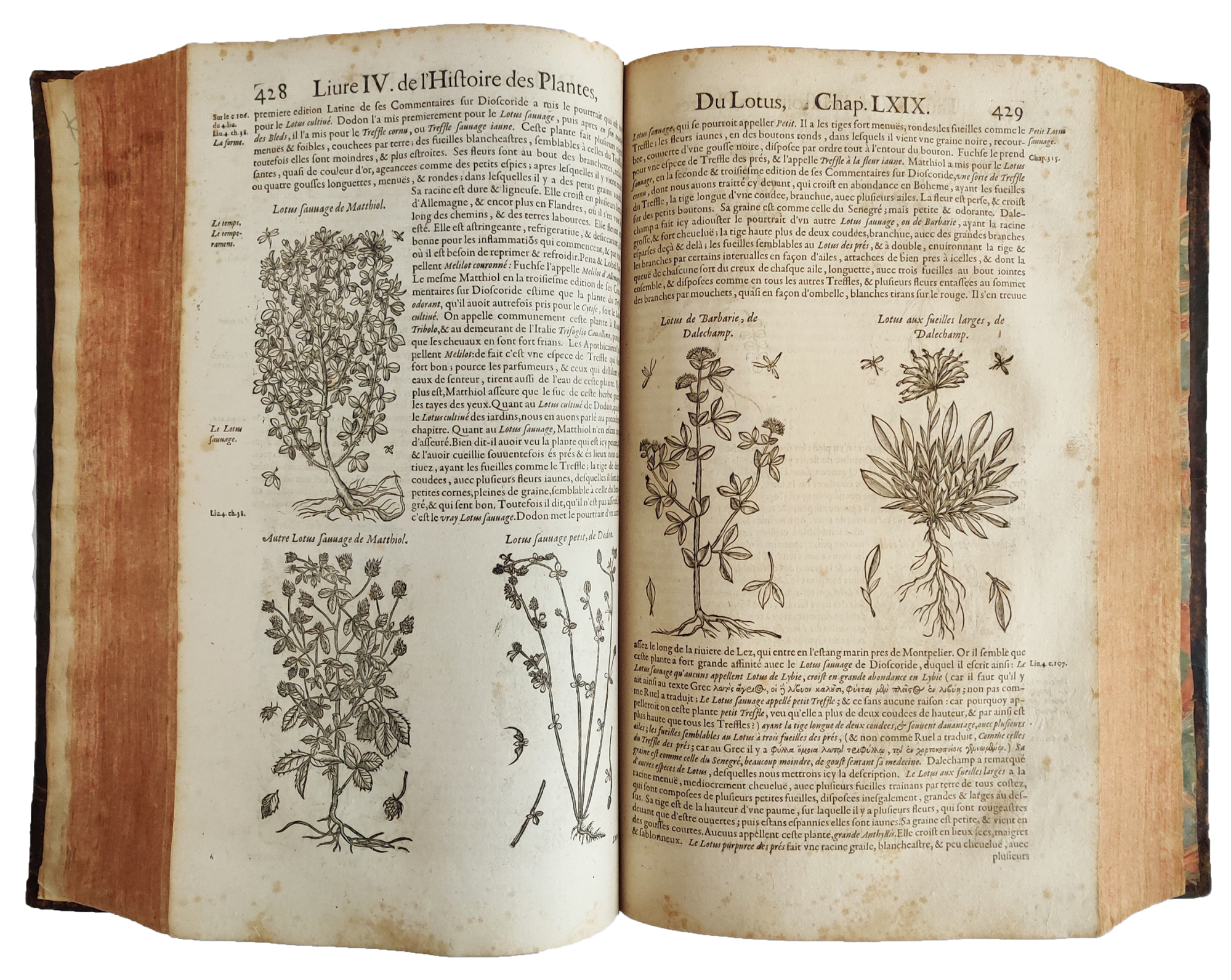 Histoire generale des plantes contenant XVIII. livres egalement departis en …