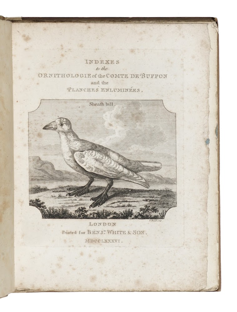 Histoire naturelle des oiseaux par le comte de Buffon and …