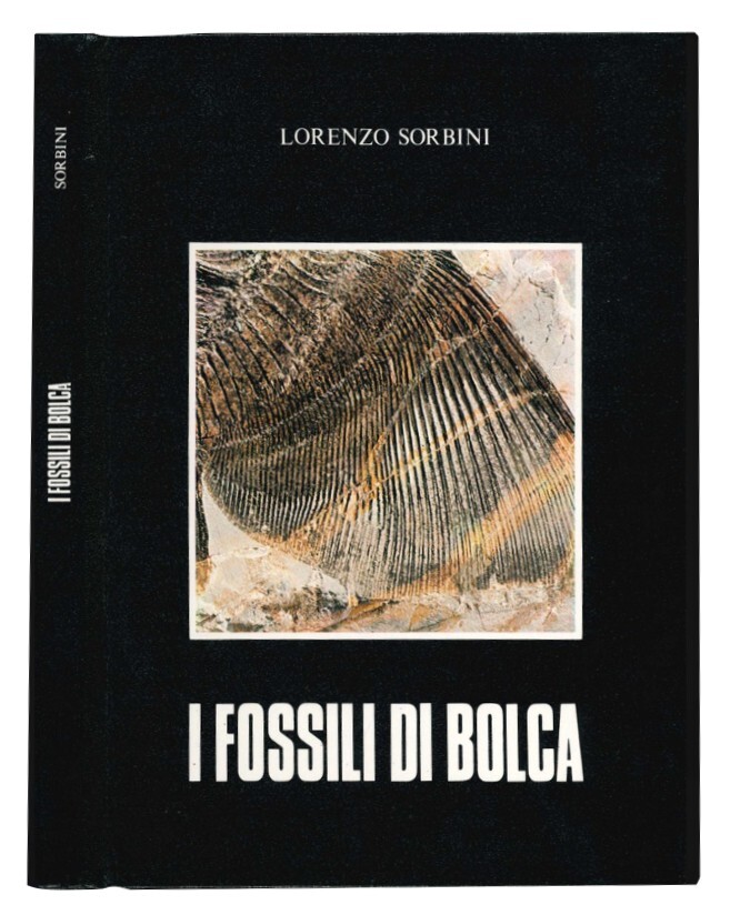 I fossili di Bolca.