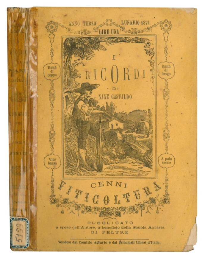 I ricordi di Nane Castaldo. Lunario pel 1871, anno terzo: …