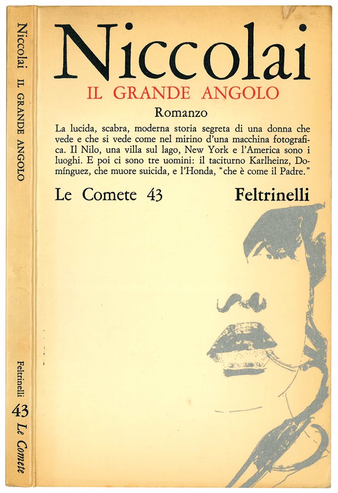 Il grande angolo. Romanzo.