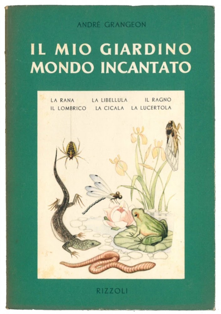 Il mio giardino mondo incantato. Vol. 2. Il ragno, la …