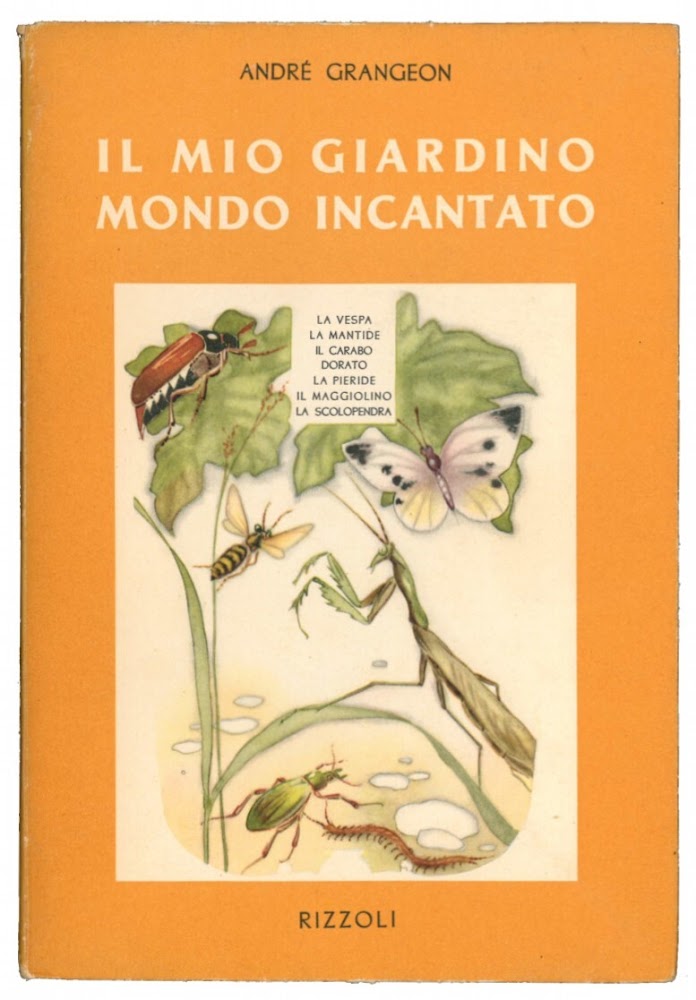 Il mio giardino mondo incantato. Vol. 3. La vespa, la …