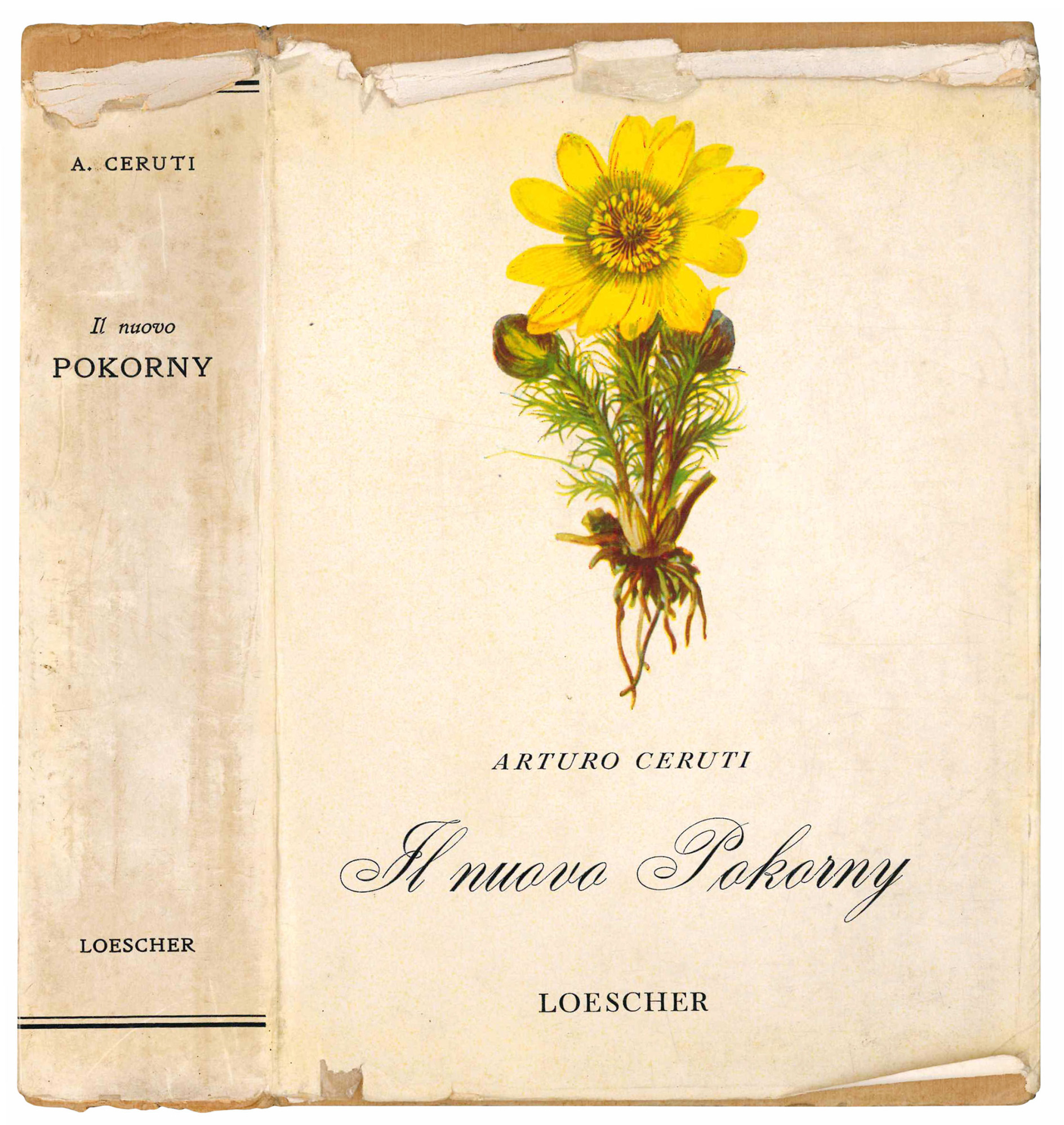 Il nuovo Pokorny. La botanica illustrata secondo il metodo Pokorny.