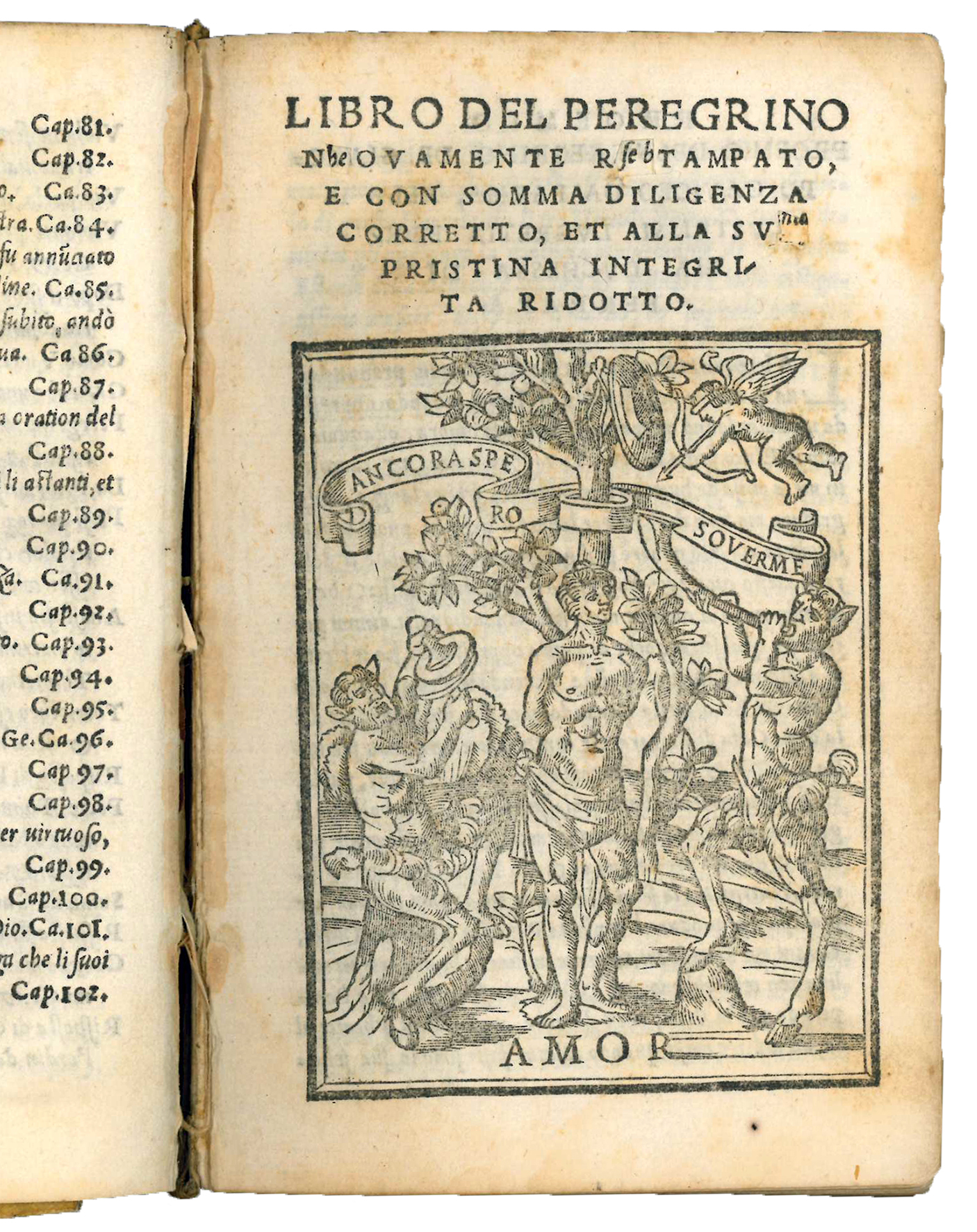 Il peregrino di M. Giacopo Caviceo da Parma. Nuovamente con …