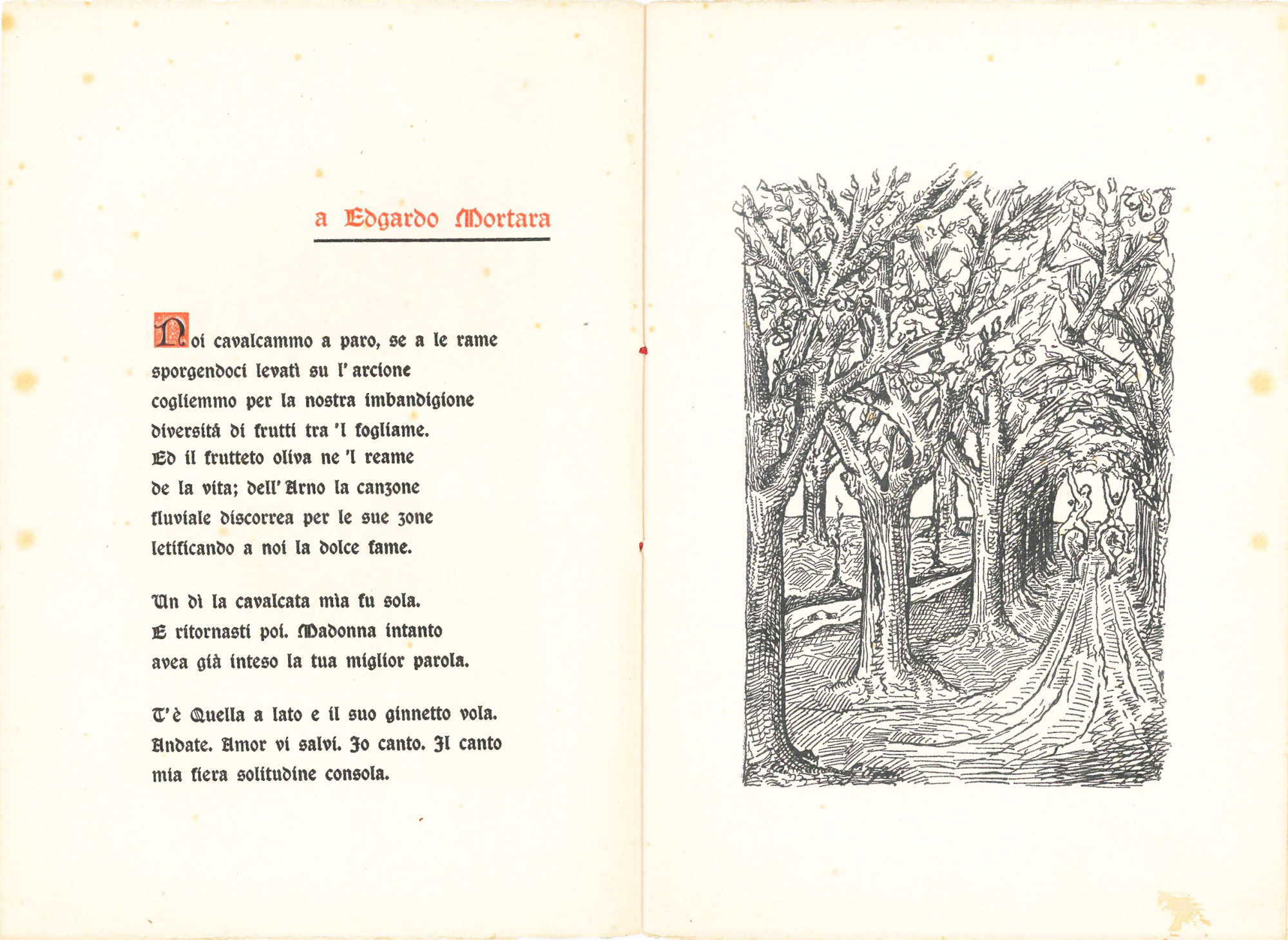 Il rinascimento di Fiorenza detto in rima da Anton Francesco …