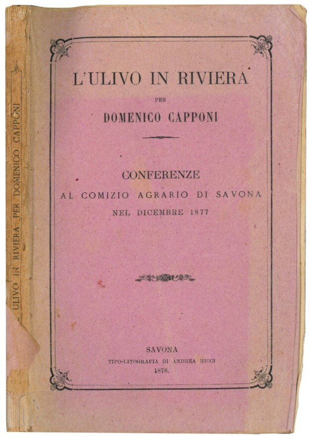 L'ulivo in riviera: conferenze al Comizio agrario di Savona nel …