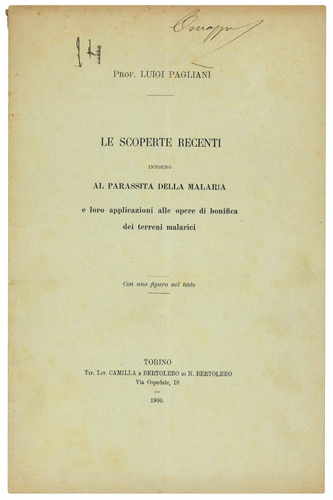 Le scoperte recenti intorno al parassita della malaria e le …