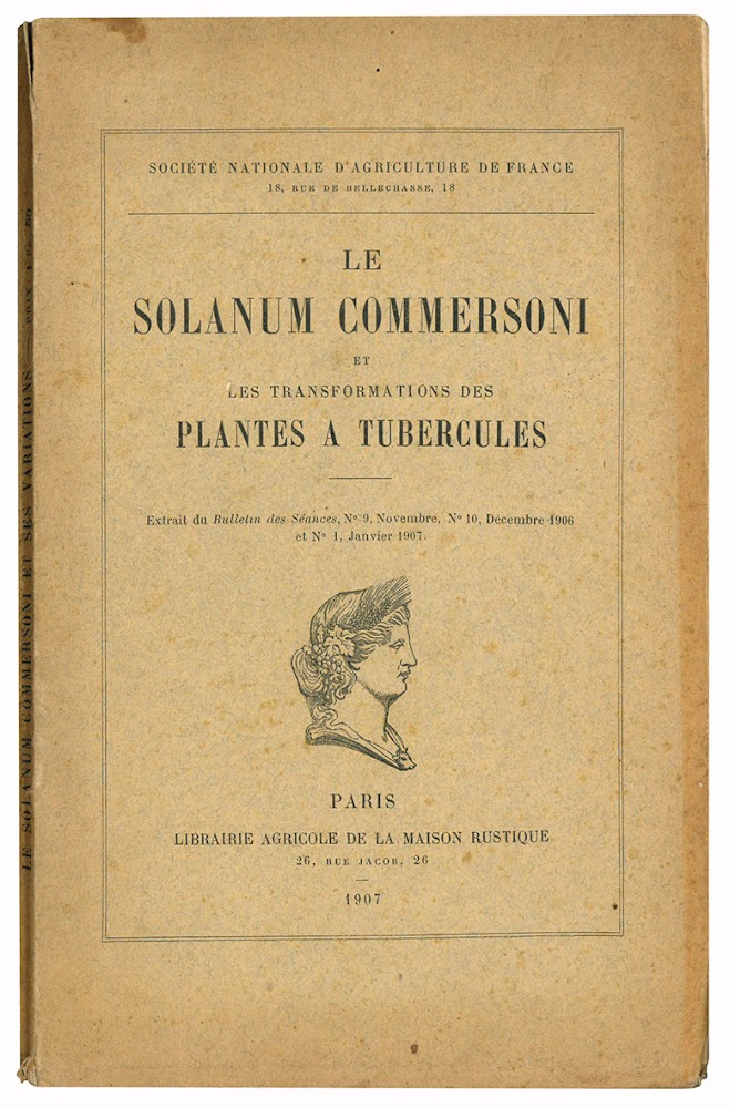 Le solanum commersoni et les transformations des plantes a tubercules.