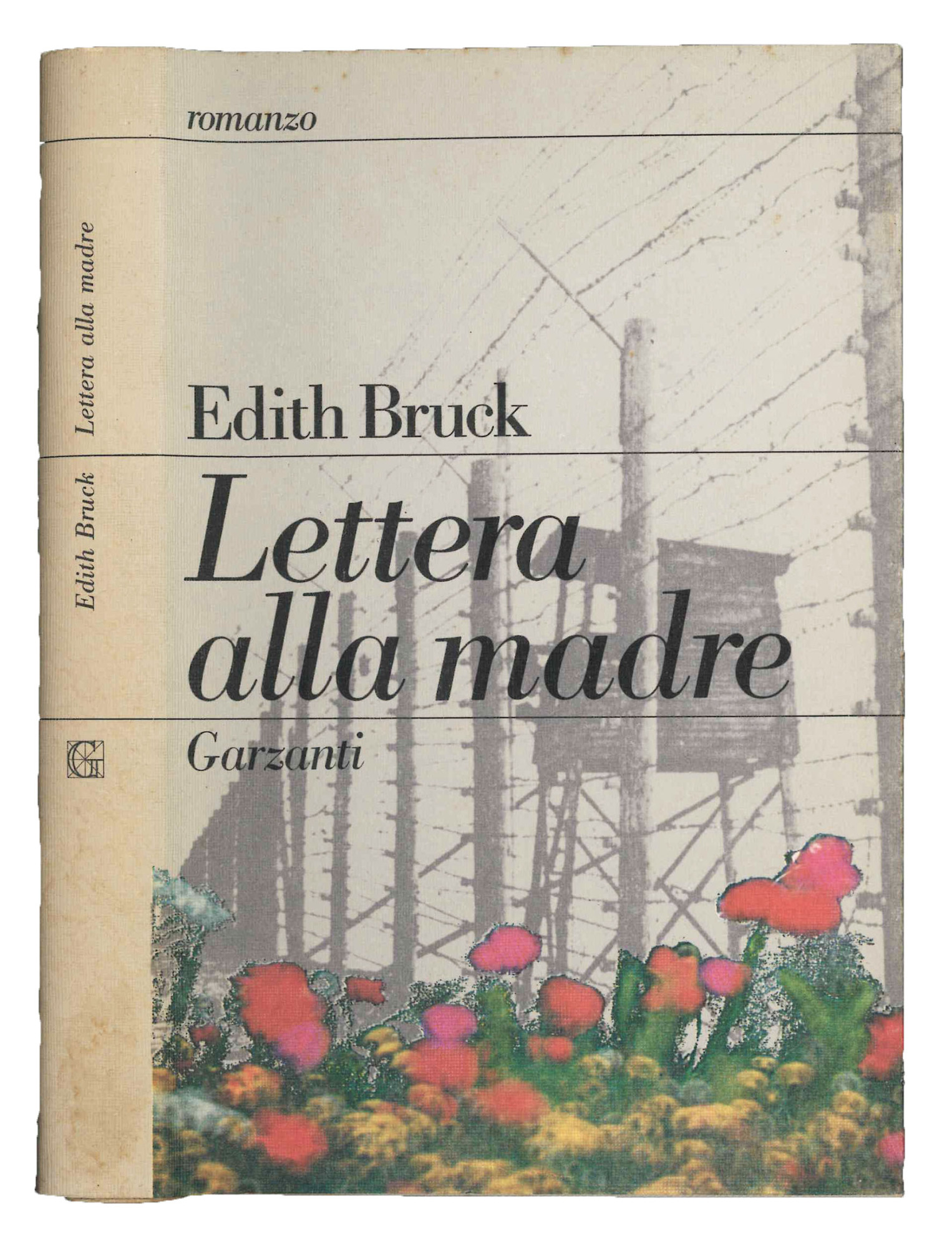 Lettera alla madre.