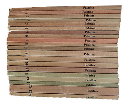 Palatina. Rivista trimestrale di lettere e arti. Dal nr. 1 …