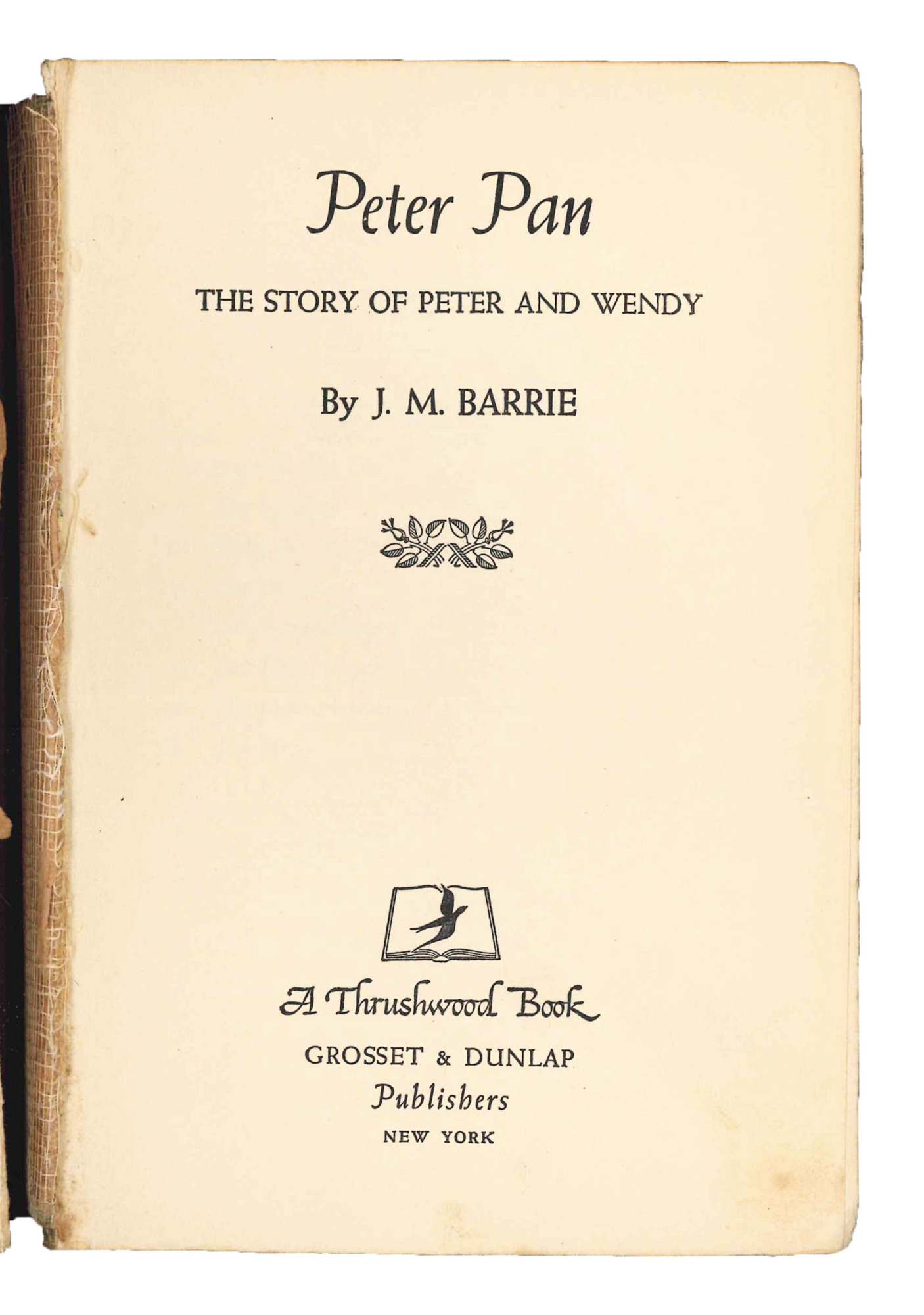 Peter Pan. The story of Peter and Wendy.