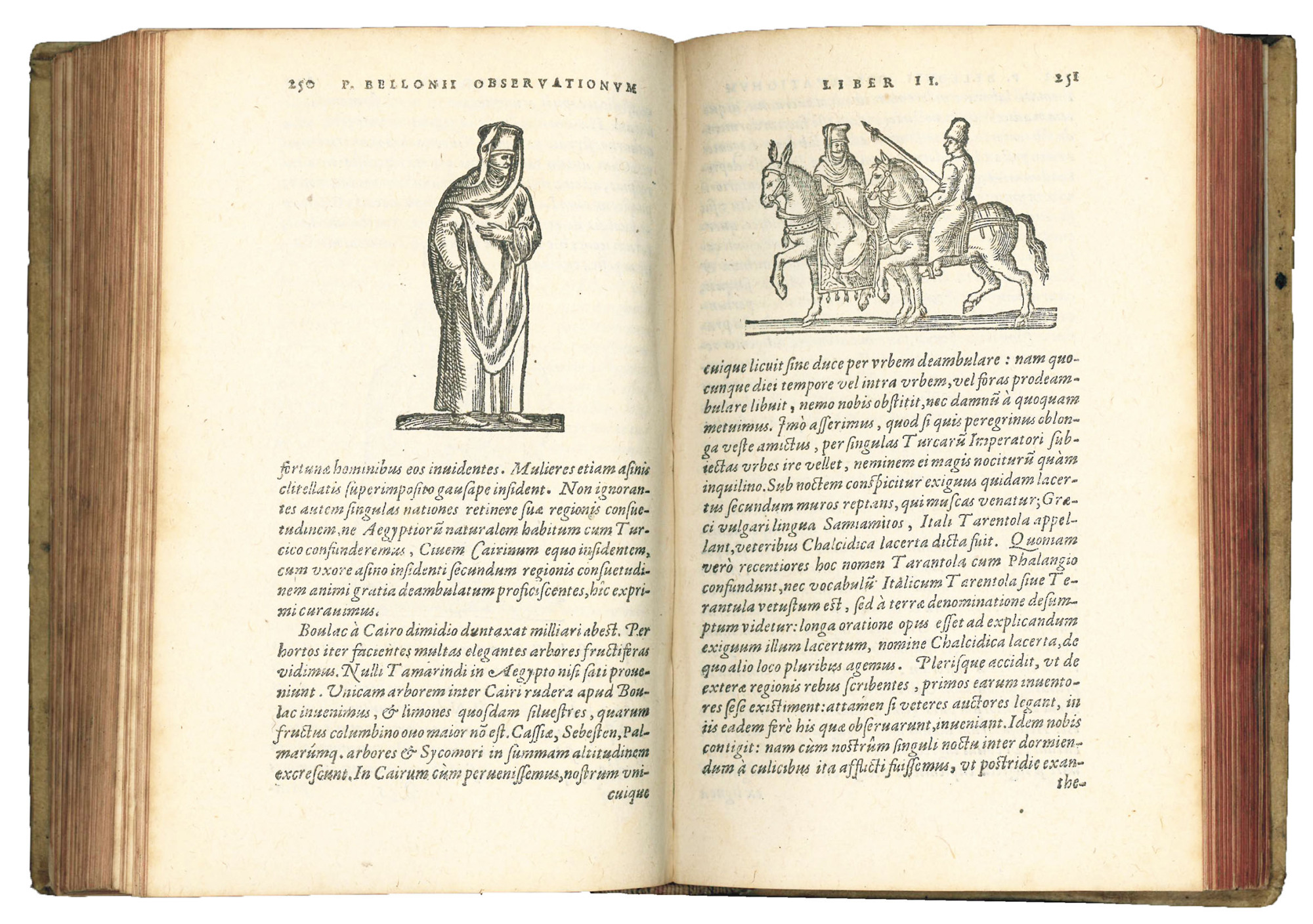 Petri Bellonii Cenomani, Plurimarum singularium &amp; memorabilium rerum in Graecia, …