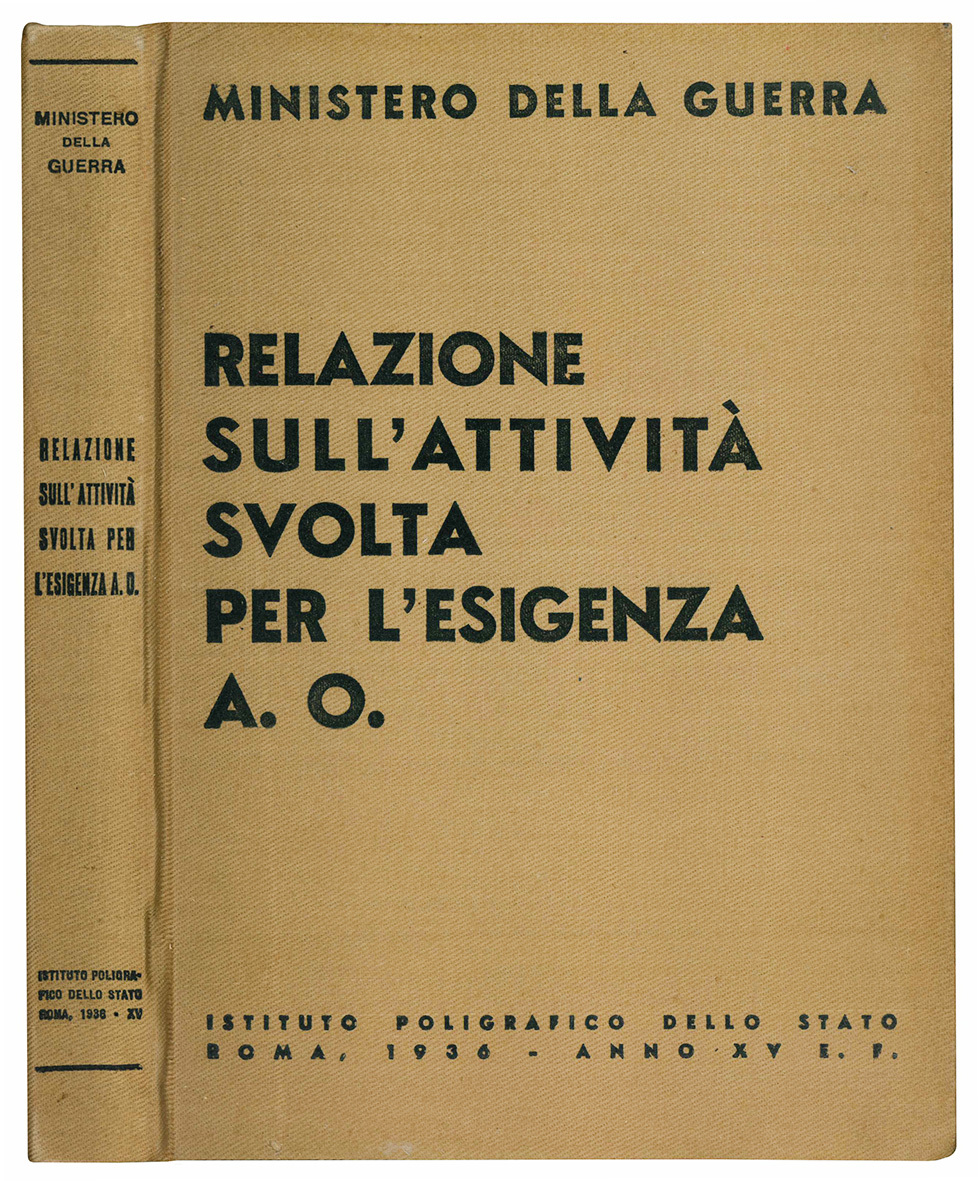 Relazione sull'attività svolta per l'esigenza A. O.