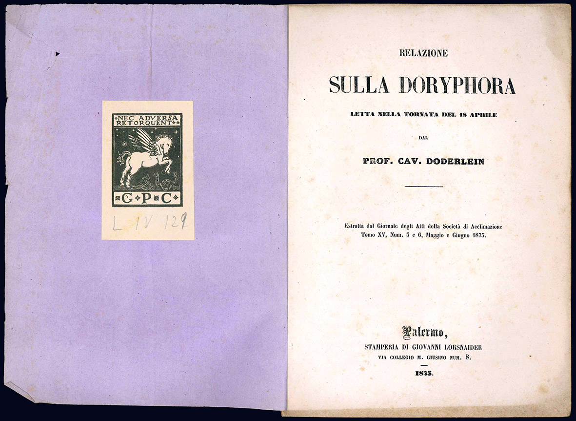 Relazione sulla Doryphora letta nella tornata del 18 aprile dal …